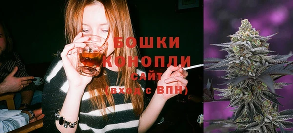 круглые Новодвинск