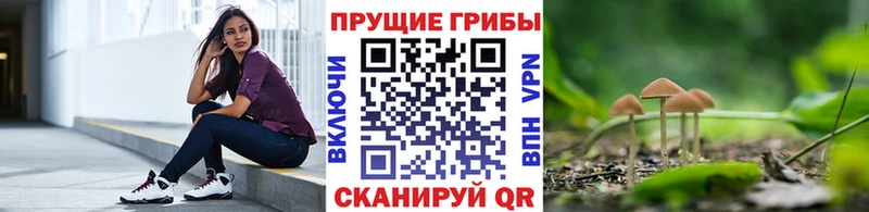 Купить где  Урай  Галлюциногенные грибы мицелий 